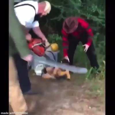 These guys are awful! I still can't help laughing... Am i the problem?