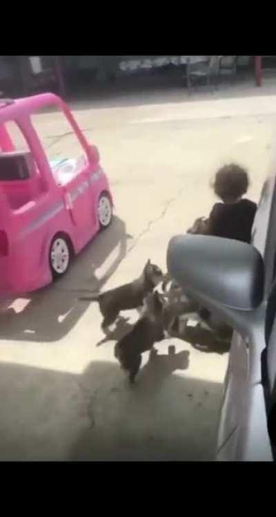 ChiLd iS brUTaLly MAULEd By sAvAGe PAcK of wOlf CUbs