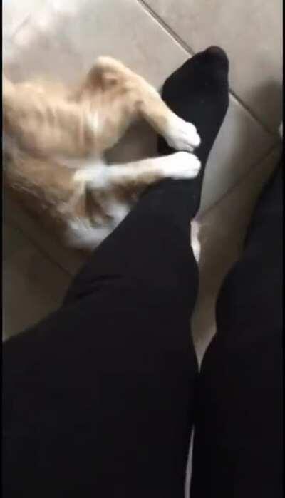 Was trying to do dishes...