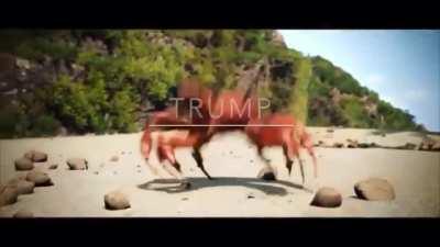 🦀🦀 TRUMP IS GONE 🦀🦀
