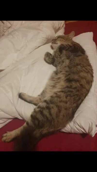 My phone showed me a compilation of 