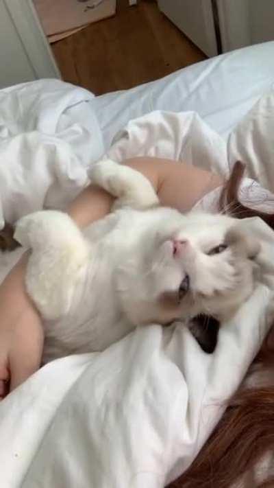 She thinks shes a teddy bear