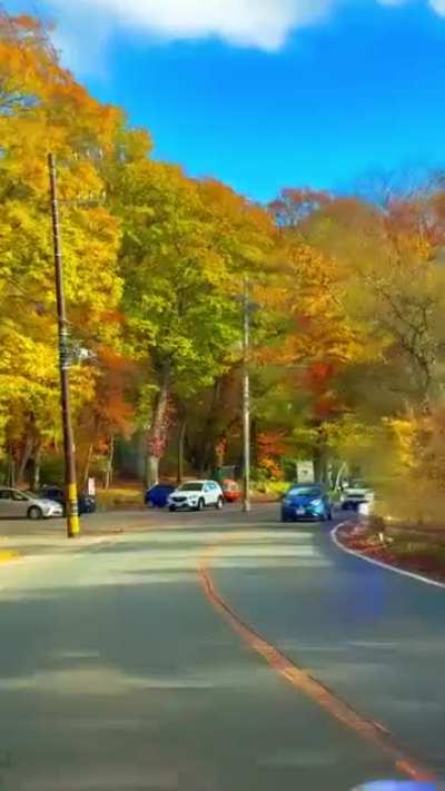 Beautiful Autumn in Nikko, Japan now!