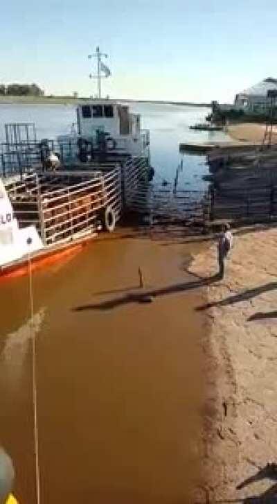 Puerto Ruiz. Gualeguay