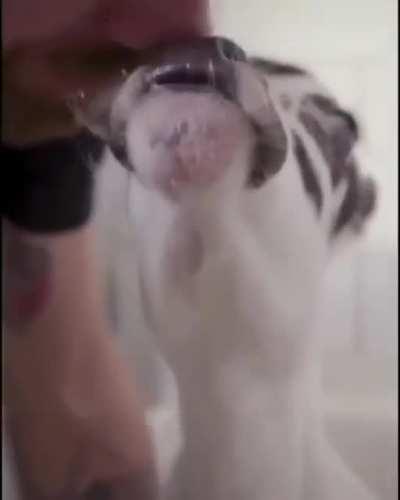 No words for this Gifs 🥺 So sweet, so pure. Warmed my heart