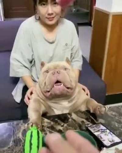 Houve uma tentativa... (não tem áudio)