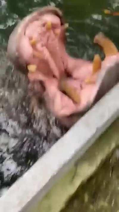 This just put my anxiety to the limit