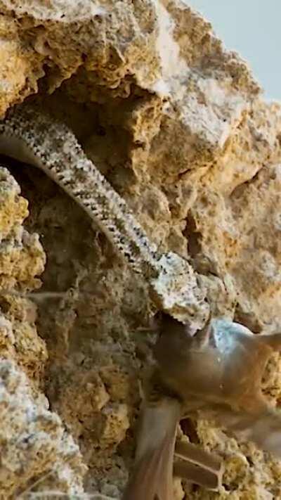 life's full of surprises...