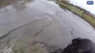 Woman being pulled by unseen force pushes dog into freezing water. She than uses a metal pole to push herself away.