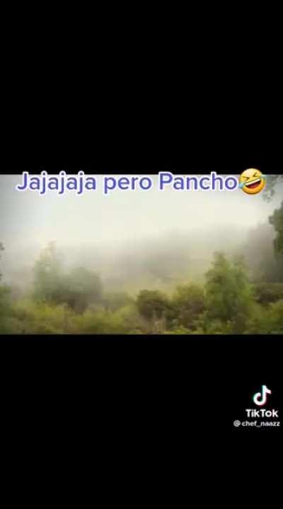 Pero pancho