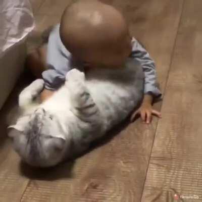 This pillow can lick