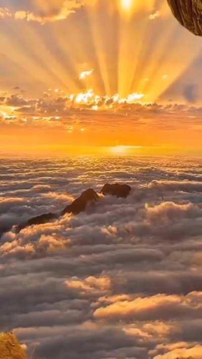 🔥 Imagine witnessing this with your own eyes