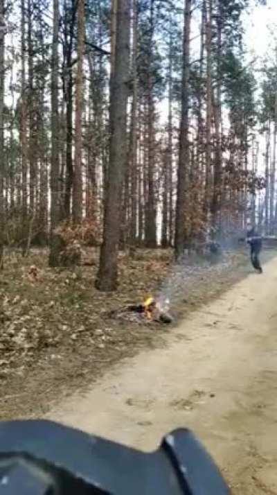 to snap a tree in half