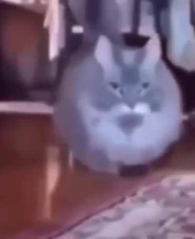 Rule again cause I accidentally went back on