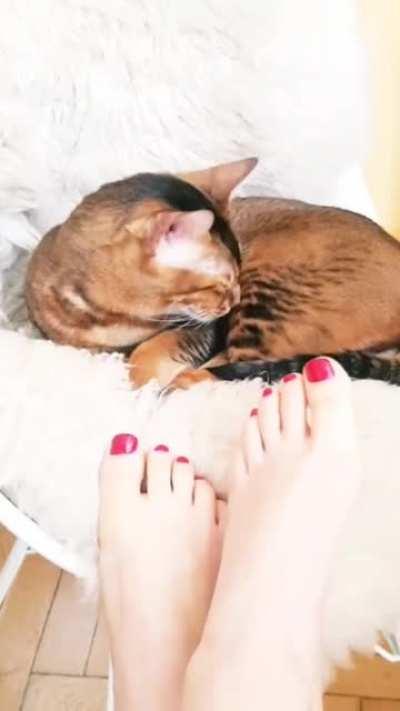 Ariadna's feet and her pussy (not my thing but some people are into feet).