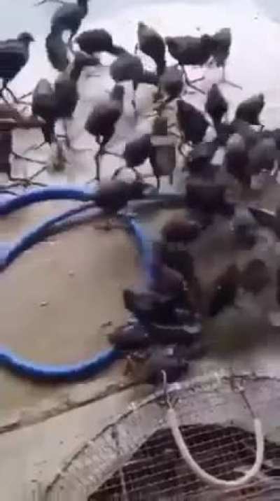 DAAAAAMMMMNNNN!!!!!!!!!!