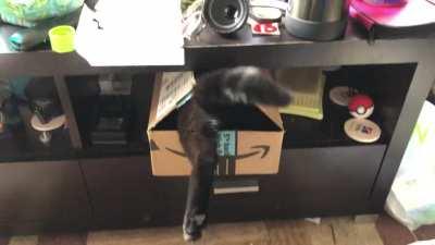 Just cuz you put the box there doesn’t mean I can’t get in it