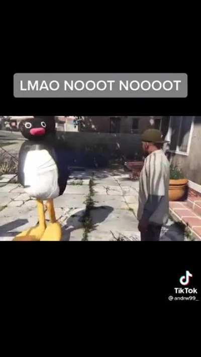 NOOT NOOT
