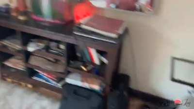 Only One Thing Distracts Bailey from Her Video Games!