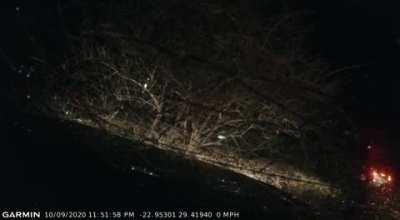 Giraffe runs into car