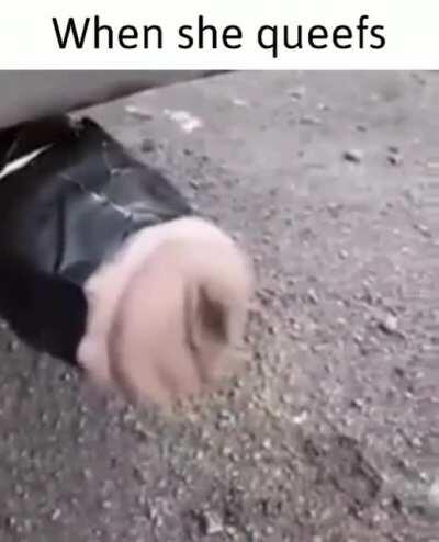 What that exhaust do?