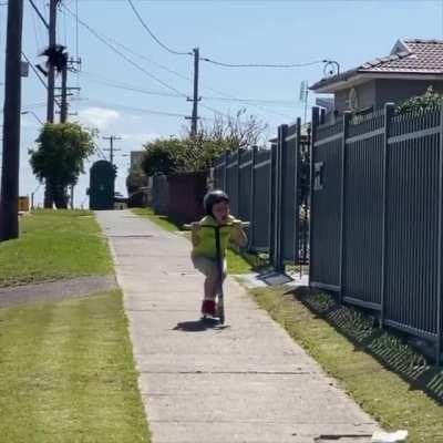 In Australia, there are many deadly things, but even the birds are fearsome too. There are around 4500 yearly attacks by Australian Magpies and there exists online databases to track and forecast problem areas. They also remember people's faces and will a