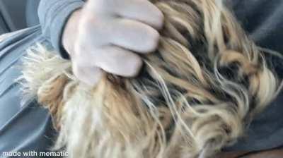 I enjoyed masturbating with a different self-lubricating fleshlight this afternoon. (oc)