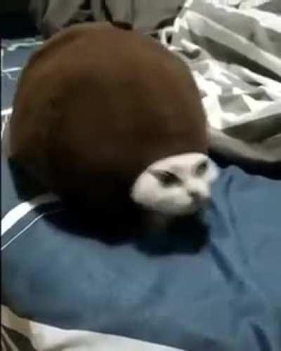 gREAt lord BOWSER ComEs to LIfe TO FucKINg eXaCt REvenge