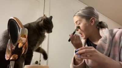 another day, another meltdown w Doug