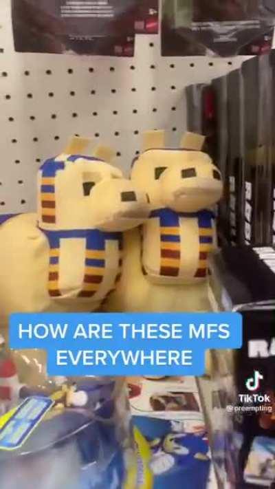 My man just wanted to shop