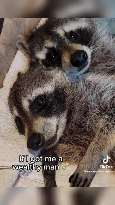 #50 the final one (for now)