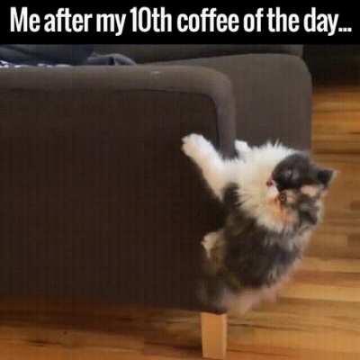 After drinking 10 cups of coffee