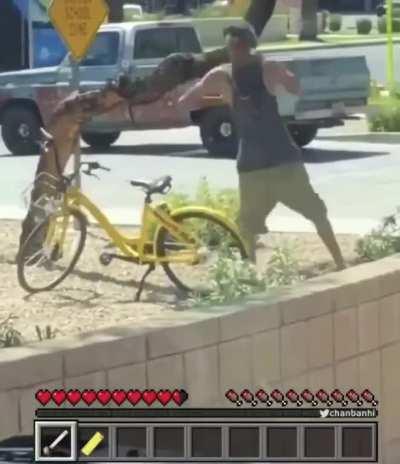 Steve runs into tree