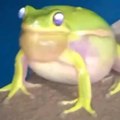 He’s meeping, guys 🙄