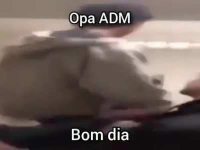 NICE MAN 😔😔✊✊🐢🐢