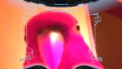 Saw this parrot laughing video and had to do this