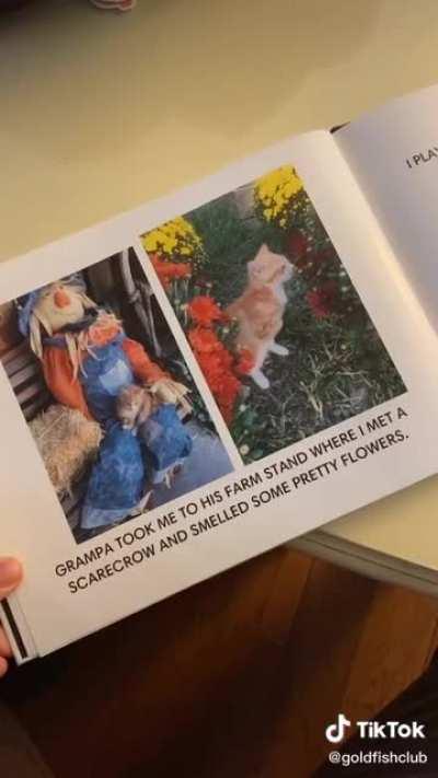 Grandparents are simply the best.