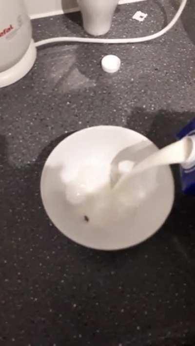 A champion's breakfast