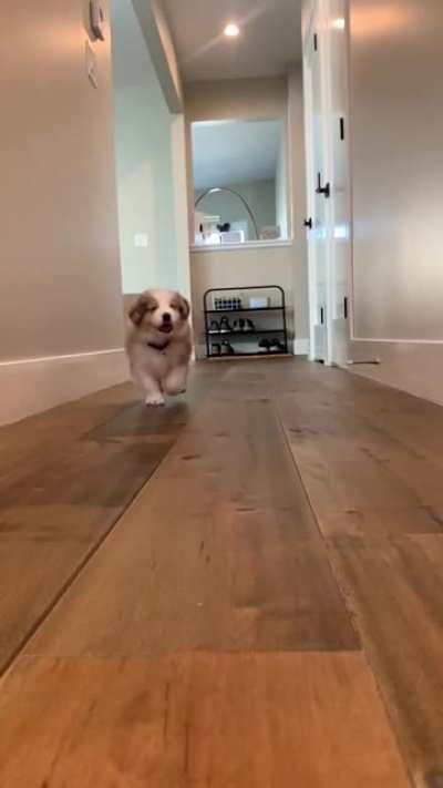 Attack of the wiggly butt!