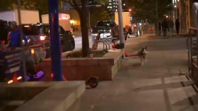 Confusing street fight.