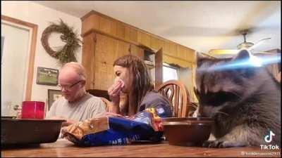 Eating just like us!