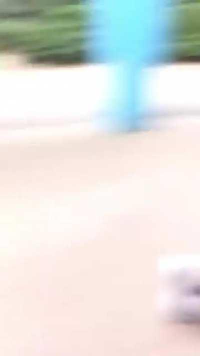 Monkey is utterly shcked by magic