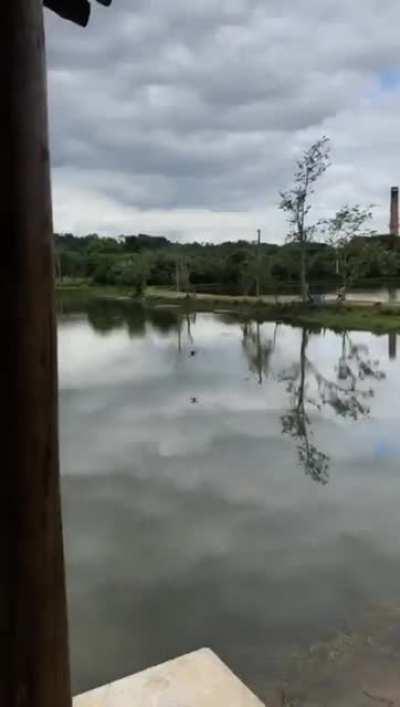 My friend sent me his new trick