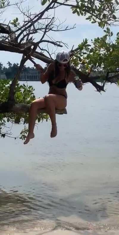 HMC while I jump off this this tree branch
