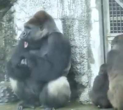 Remarkable what a touch can do