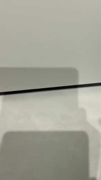 Since cats domesticated humans the hunting became easier than ever.