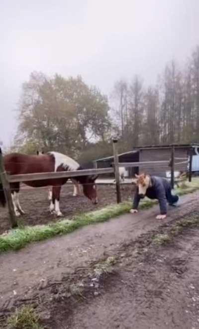 The horse is a little concerned.