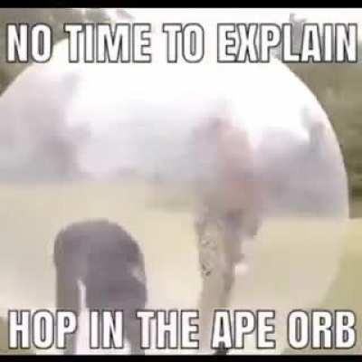 M-Monkey?! Super monkey ball was real all along?!