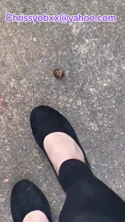 Wedge pumps crush snails