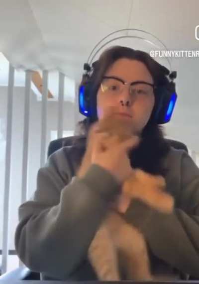 His brain cell got a factory reset